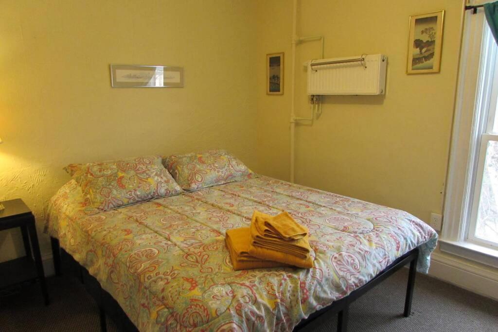 Great Gorge Guesthouse - Walk To The Falls, The Casino And All Downtown Restaurants - Across From The Aquarium Niagara Falls Esterno foto